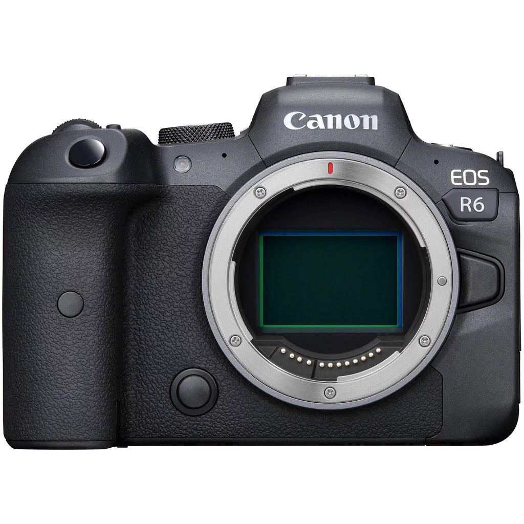 Canon EOSize R6 Mirrorless Camera with RF 24-105mm SizeTM + 75-300mm Lens + Mount Adapter + 64GB SizeanDisk + ZeeTech Accessory
