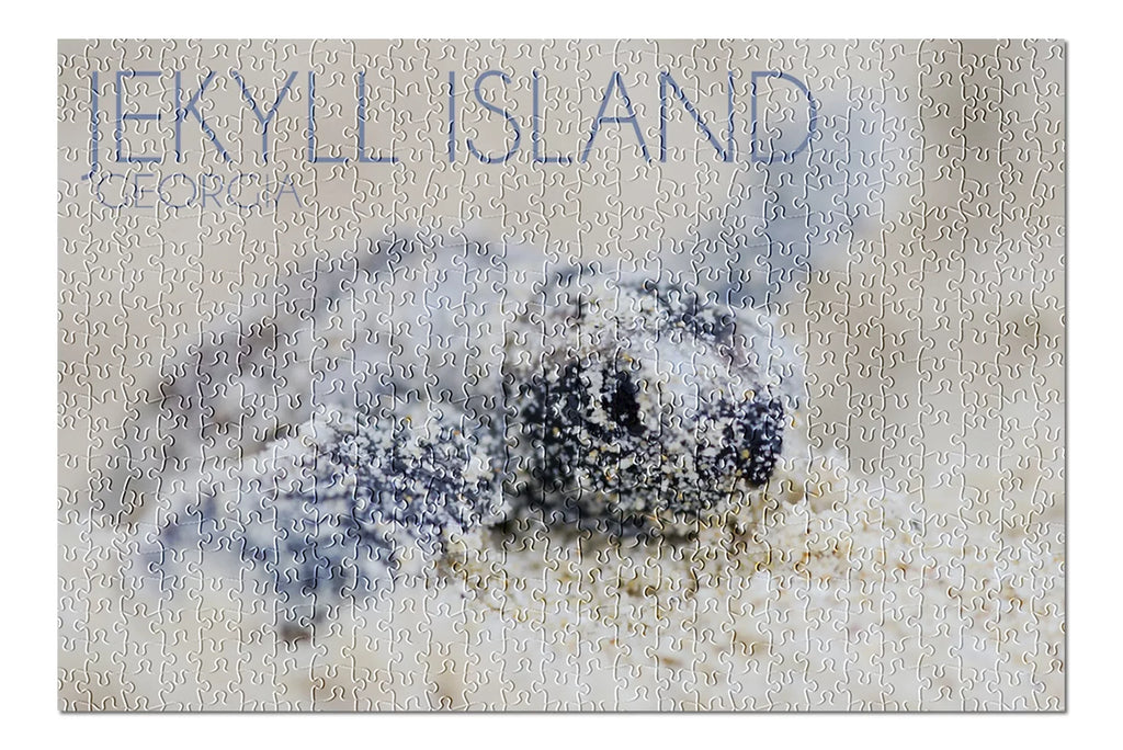 Jekyll Island, Georgia, Hawksbill Turtle Hatching (19x27 inches, Premium 500 Piece Jigsaw Puzzle for Adults and Family, Made in USizeA)