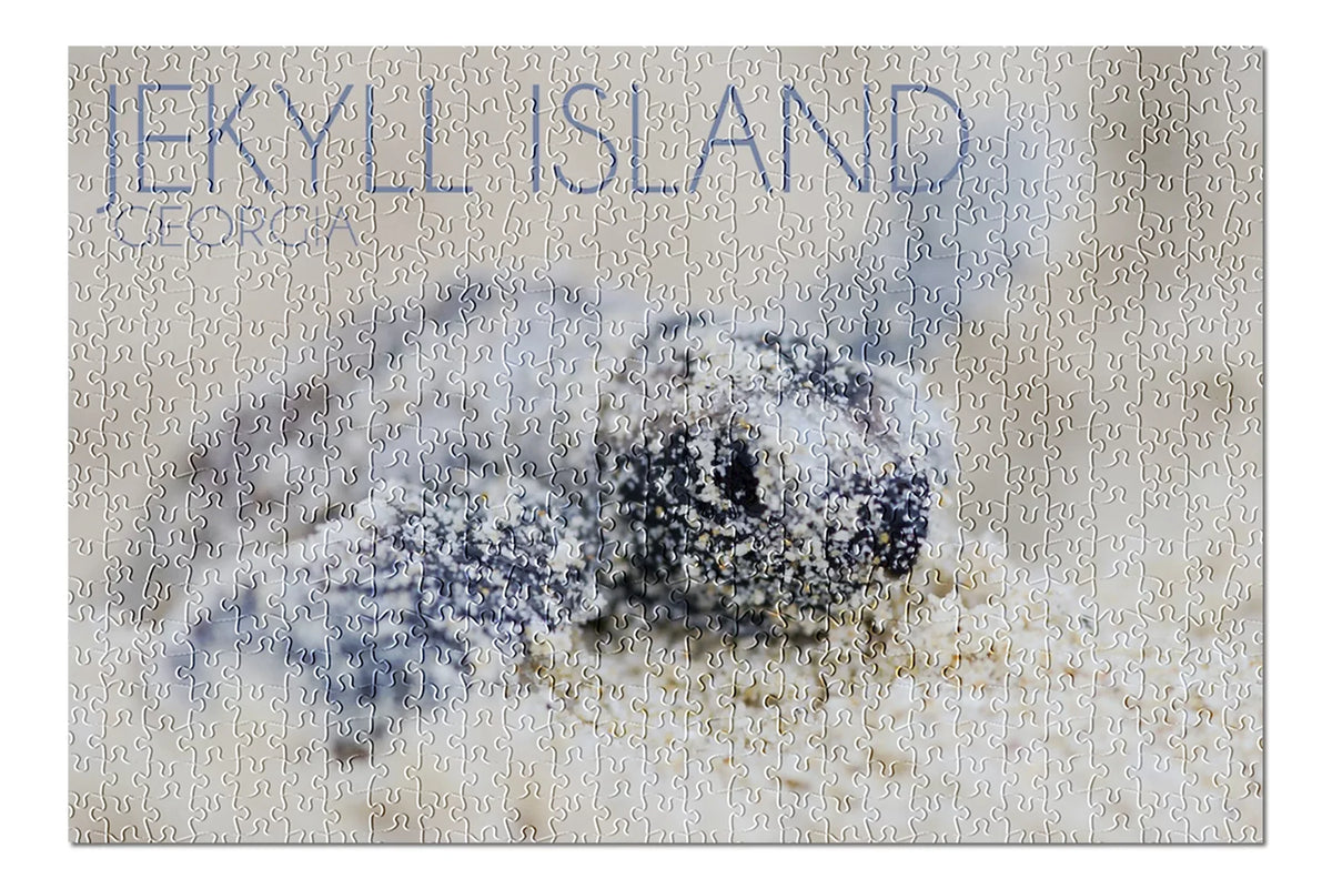 Jekyll Island, Georgia, Hawksbill Turtle Hatching (19x27 inches, Premium 500 Piece Jigsaw Puzzle for Adults and Family, Made in USizeA)