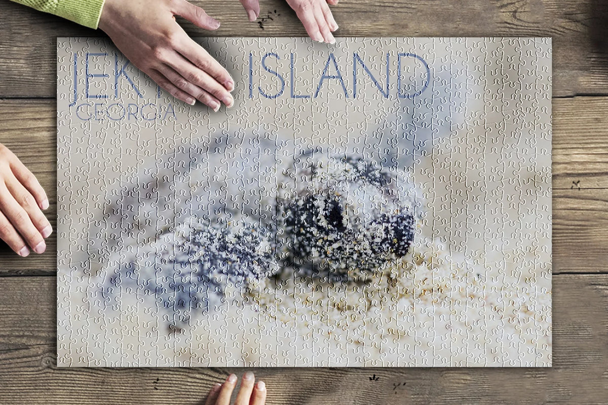 Jekyll Island, Georgia, Hawksbill Turtle Hatching (19x27 inches, Premium 500 Piece Jigsaw Puzzle for Adults and Family, Made in USizeA)