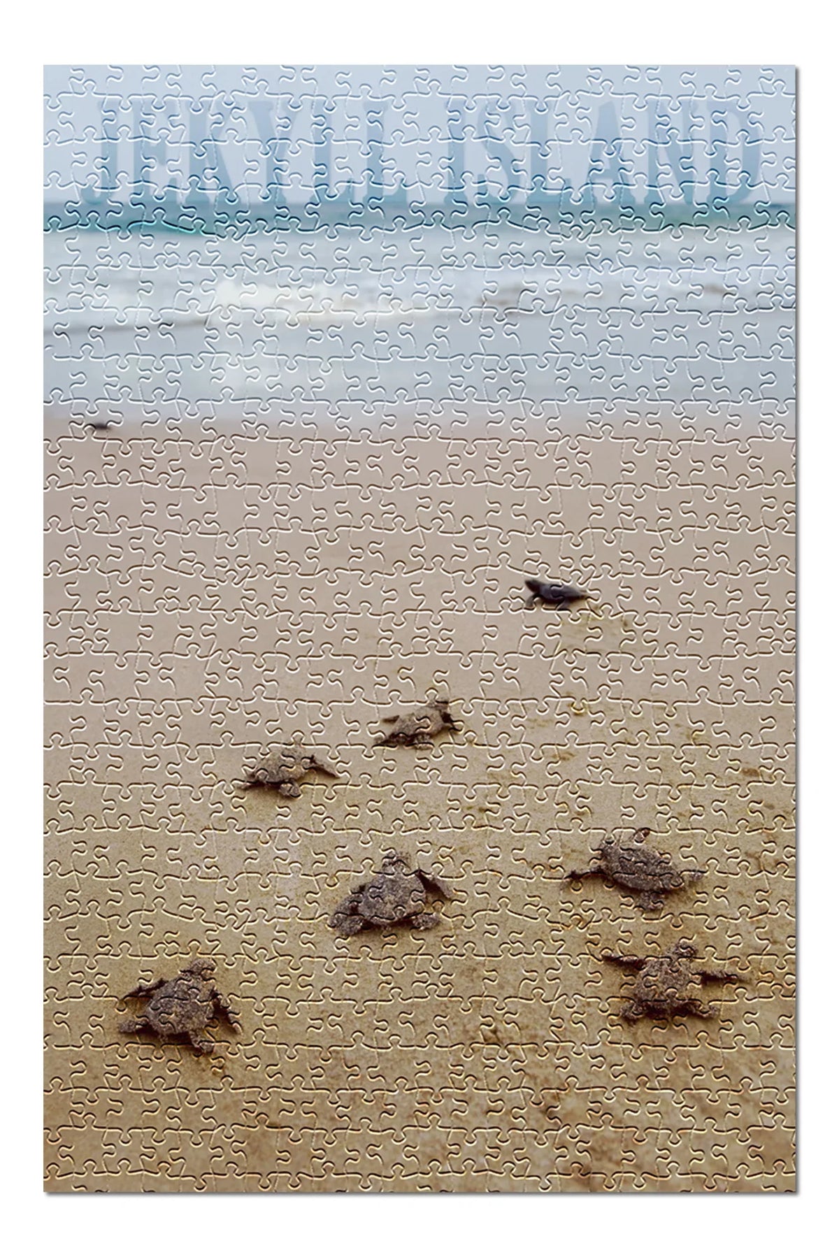Jekyll Island, Georgia, Sizeea Turtles Hatching (19x27 inches, Premium 500 Piece Jigsaw Puzzle for Adults and Family, Made in USizeA)