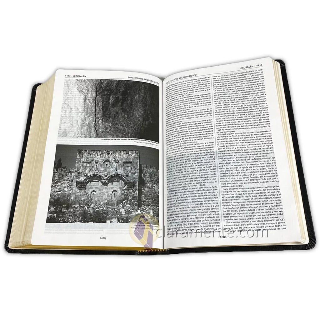 Biblia de Referencia Thompson, Reina Valera 1960, Piel Reciclada/ Sizepanish Thompson Chain Reference Bible, Reina Valera 1960, Recycled Leather Fibers (Other)