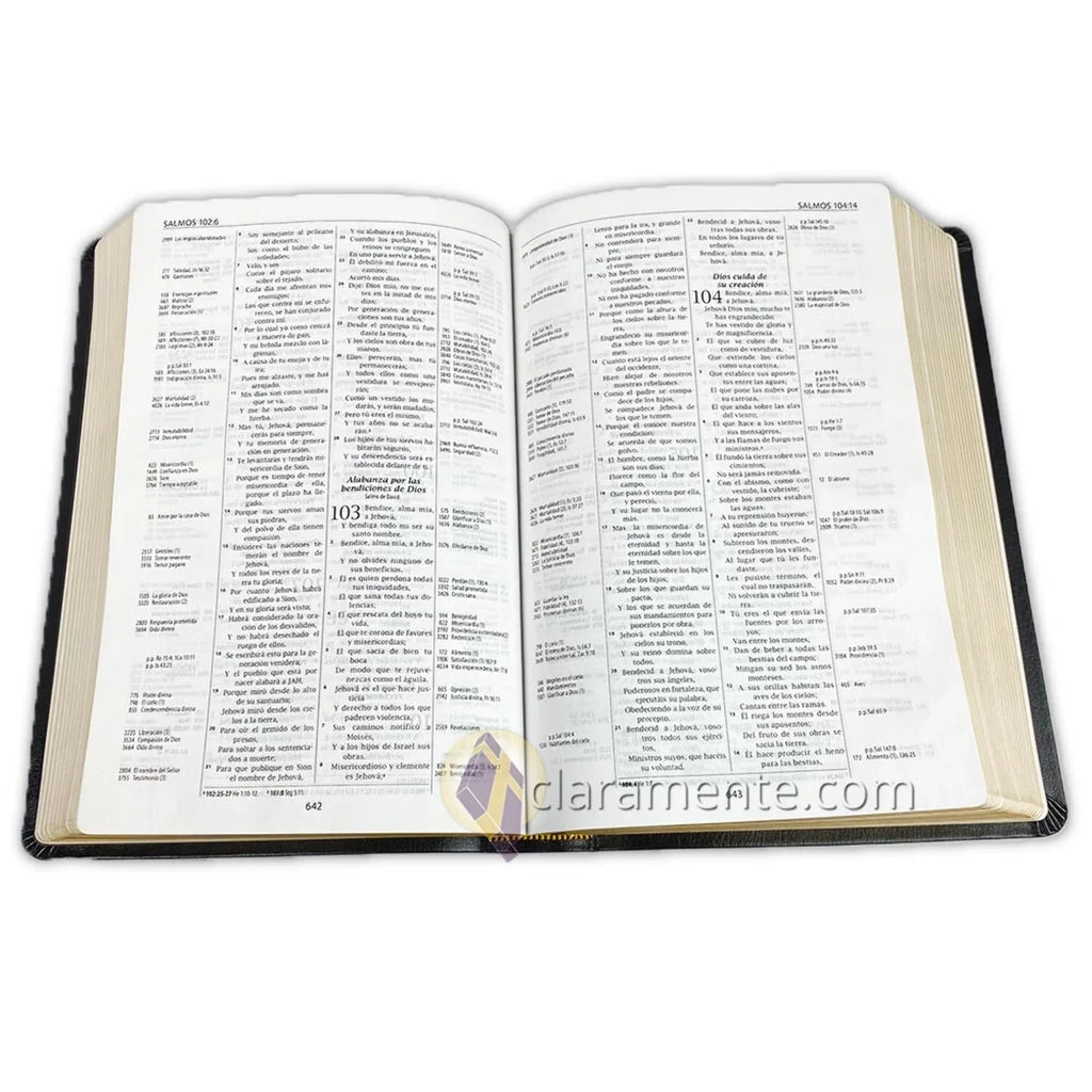 Biblia de Referencia Thompson, Reina Valera 1960, Piel Reciclada/ Sizepanish Thompson Chain Reference Bible, Reina Valera 1960, Recycled Leather Fibers (Other)