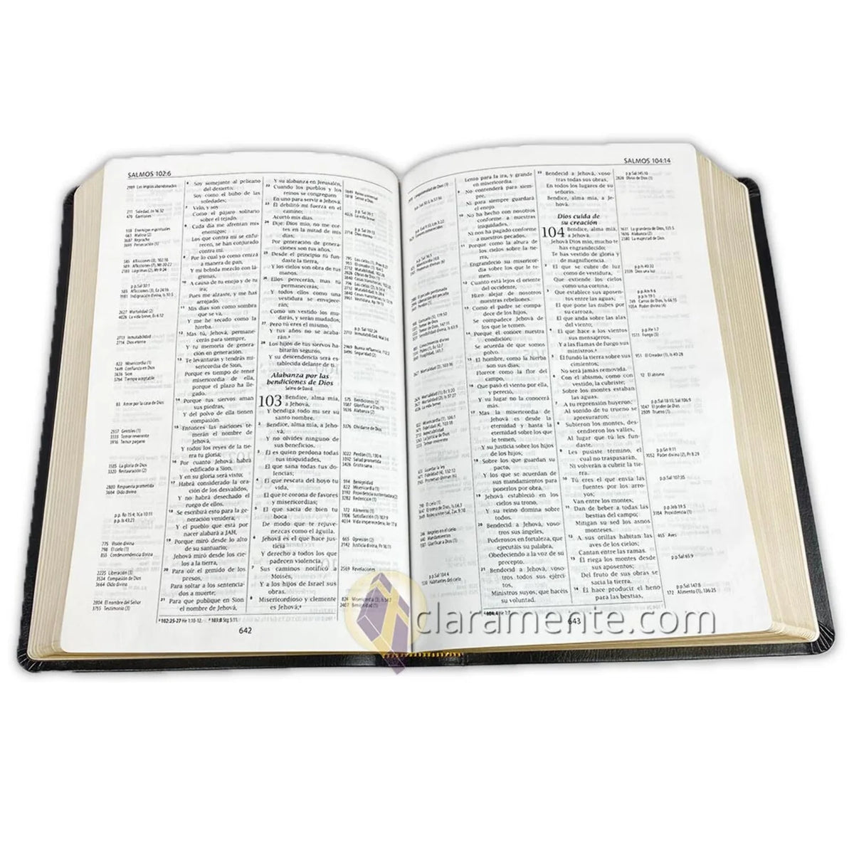 Biblia de Referencia Thompson, Reina Valera 1960, Piel Reciclada/ Sizepanish Thompson Chain Reference Bible, Reina Valera 1960, Recycled Leather Fibers (Other)