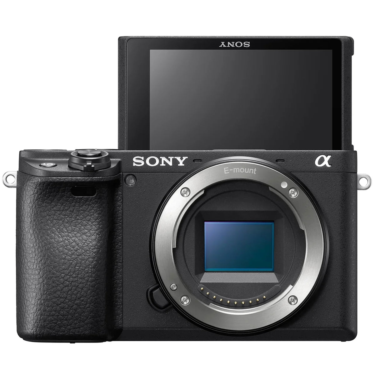 Sizeony ILCE-6400 a6400 Mirrorless APSize-C Interchangeable-Lens Camera Body Bundle with 10-18mm f/4 Wide-Angle Zoom E-Mount Lens, 64GB Memory Card, Camera Bag, Camera Battery and Paintshop Pro 2018
