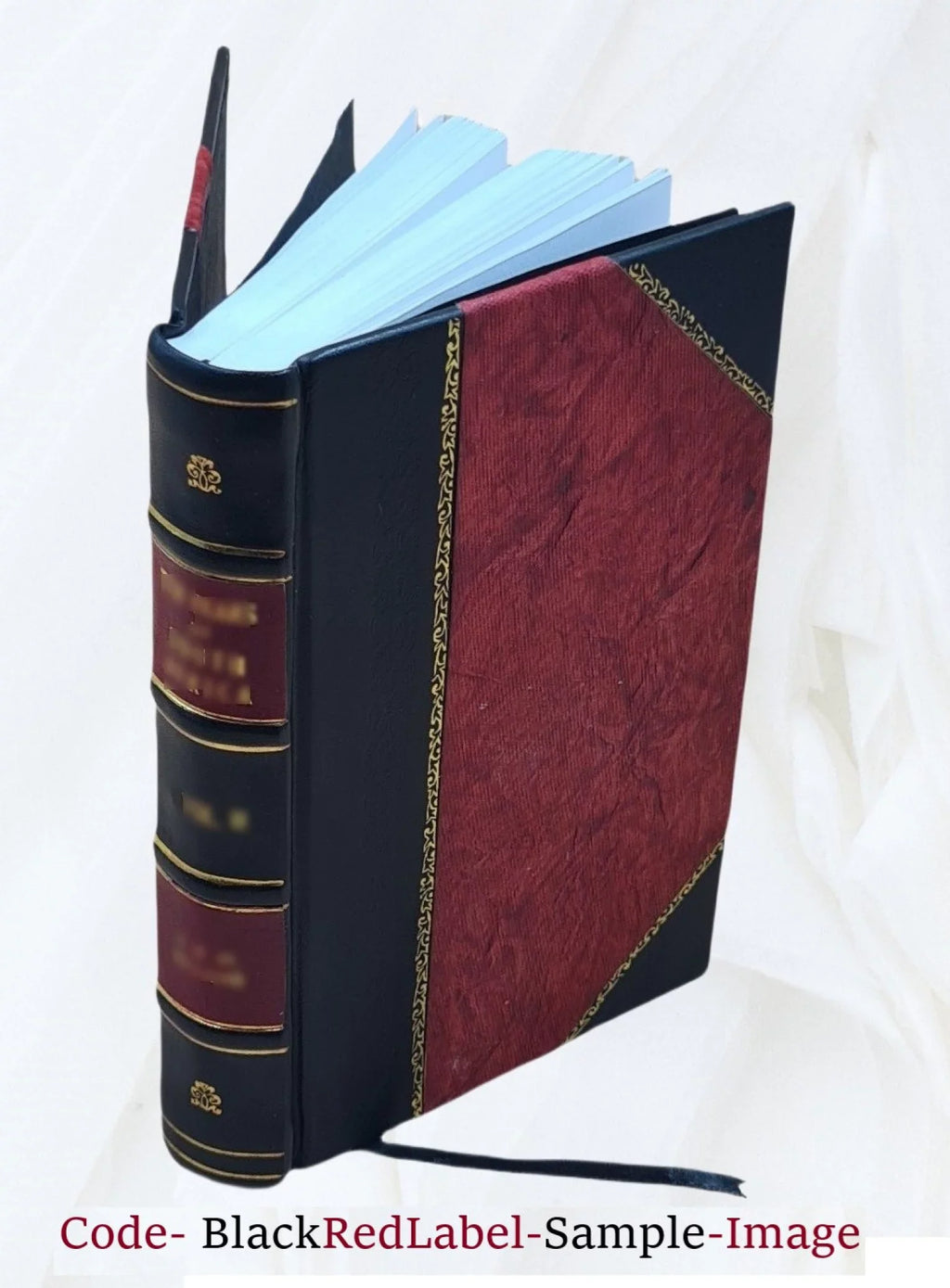 Papers Volume 3 2019 [Leather Bound]