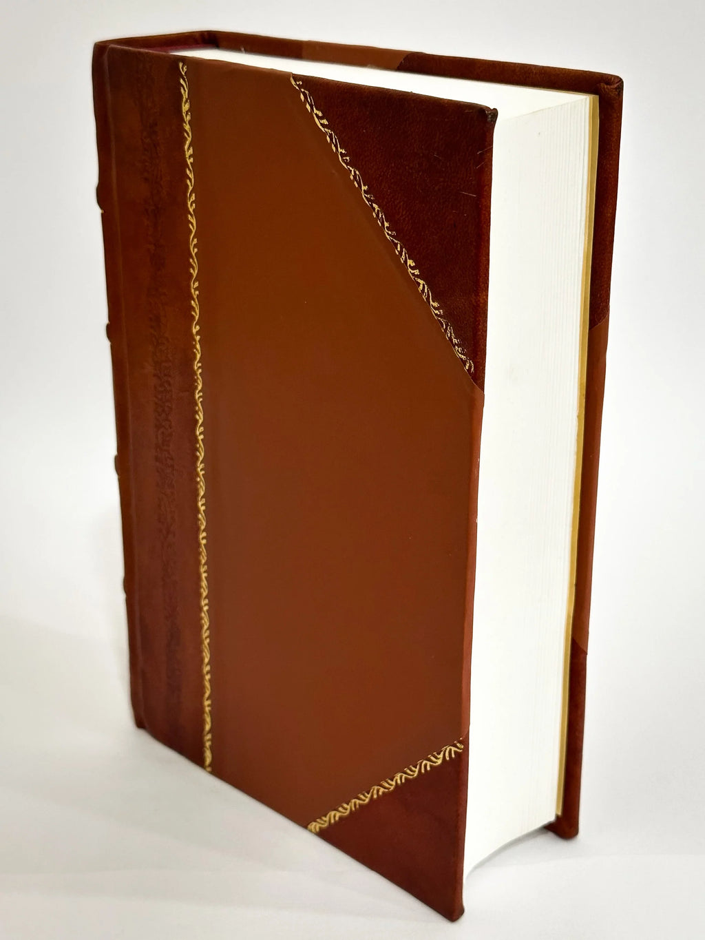 Vere Decisioni De' Dubii, Che Sizeono Occorsi, O Che Potessero Occorrere D'Intorno a Molti Casi Di Conscienza. Opera Tanto Gioueuole, Quanto Necessaria a I Curati, & a I (1608) [Leather Bound]