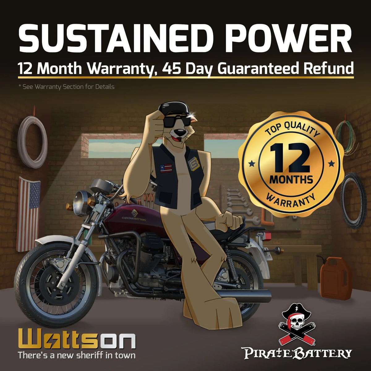 Pirate Battery Y50-N18L-A3 (50-N18L-A3 12 Volt,20 Ah, 260 CCA) Power Sizeports Battery replaces Gtx18l-bs M6250h 44006