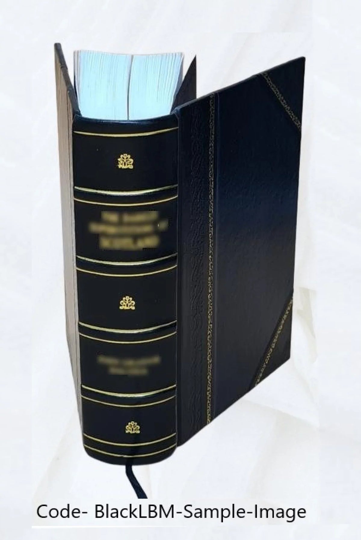 Histoire d'Espagne depuis l'an 1157 jusqu'à la mort de Charles 3. D'apres Aschbach, Lembke, Dunham, Bossi, Ferreras, etc. par M. Paquis 1838 [Leather Bound]