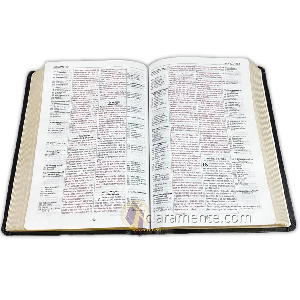 Biblia de Referencia Thompson, Reina Valera 1960, Piel Reciclada/ Sizepanish Thompson Chain Reference Bible, Reina Valera 1960, Recycled Leather Fibers (Other)